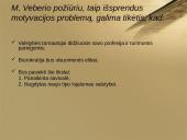 Tradicinis viešojo administravimo modelis 9 puslapis