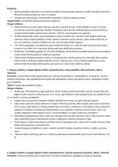 Terapinės-geriatrinės slaugos konspektas 13 puslapis