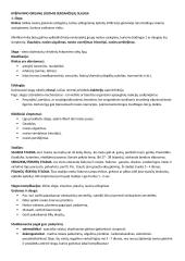 Terapinės-geriatrinės slaugos konspektas 3 puslapis