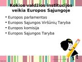 Europos Sąjungos valdžios institucijos ir Lietuva 2 puslapis
