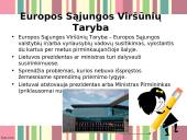 Europos Sąjungos valdžios institucijos ir Lietuva 5 puslapis