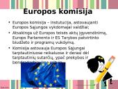 Europos Sąjungos valdžios institucijos ir Lietuva 6 puslapis