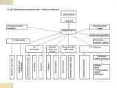 Linijinė valdymo struktūra 13 puslapis