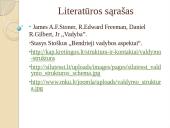 Linijinė valdymo struktūra 18 puslapis