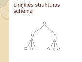 Linijinė valdymo struktūra 5 puslapis