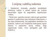Linijinė valdymo struktūra 6 puslapis