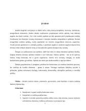 Funkcinės zonos 2 puslapis