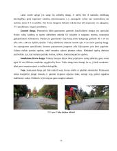 Funkcinės zonos 11 puslapis