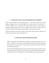 Funkcinės zonos 12 puslapis