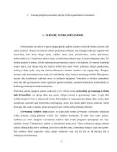 Funkcinės zonos 3 puslapis