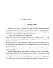 Funkcinės zonos 7 puslapis