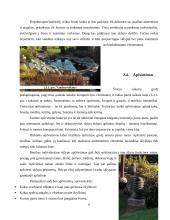 Funkcinės zonos 9 puslapis