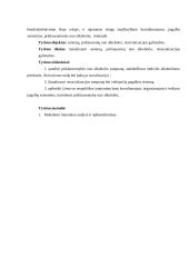 Asmenų, priklausomų nuo alkoholio, resocializacijos galimybės 4 puslapis