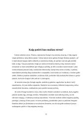 Stresas, jo priežastys ir būdai jį įveikti 12 puslapis