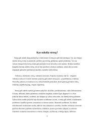 Stresas, jo priežastys ir būdai jį įveikti 5 puslapis