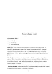 Stresas, jo priežastys ir būdai jį įveikti 10 puslapis