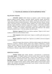 Vagonų tipai. Kėbulo konstrukcijos 4 puslapis