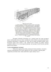 Vagonų tipai. Kėbulo konstrukcijos 10 puslapis