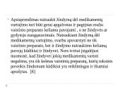 Nėštumas, žindymas ir vaistai 16 puslapis