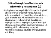 Priemaišos ir teršalai vaisinėse augalinėse medžiagose 11 puslapis