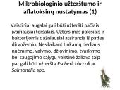 Priemaišos ir teršalai vaisinėse augalinėse medžiagose 10 puslapis