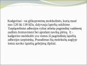 Ligos progresavimas esant gimdos kaklelio intraepiteliniams navikams 5 puslapis
