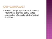 Nakvišų aliejus 2 puslapis