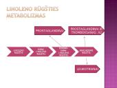 Nakvišų aliejus 4 puslapis