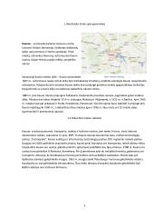 Kauno karo muziejus ir Senasis paštas 2 puslapis