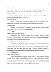 Tarpkultūrinė vadyba 14 puslapis