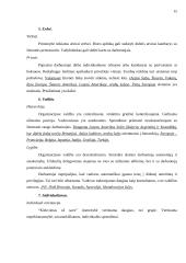 Tarpkultūrinė vadyba 16 puslapis