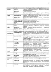 Tarpkultūrinė vadyba 19 puslapis
