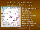 Holokaustas - žydų tautos tragedija 12 puslapis