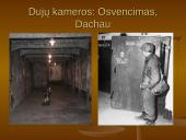 Holokaustas - žydų tautos tragedija 13 puslapis