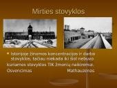 Holokaustas - žydų tautos tragedija 16 puslapis