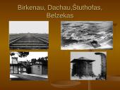 Holokaustas - žydų tautos tragedija 17 puslapis