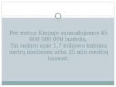 Skaidrės apie Kiniją 12 puslapis