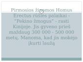 Skaidrės apie Kiniją 20 puslapis