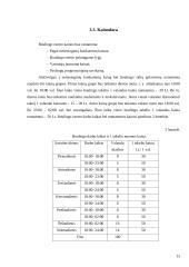 UAB „BoulingBall“ verslo planas 13 puslapis