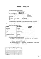 UAB „BoulingBall“ verslo planas 17 puslapis