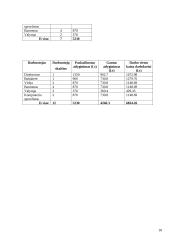 UAB „BoulingBall“ verslo planas 18 puslapis