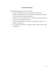 UAB „BoulingBall“ verslo planas 19 puslapis