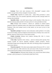 UAB „BoulingBall“ verslo planas 3 puslapis