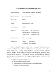 UAB „BoulingBall“ verslo planas 4 puslapis