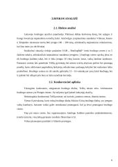 UAB „BoulingBall“ verslo planas 6 puslapis