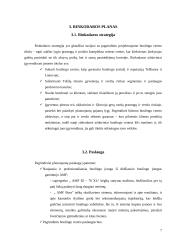 UAB „BoulingBall“ verslo planas 7 puslapis