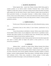 Verslo analizė pagal Canvas modelį 4 puslapis