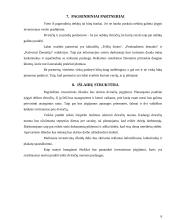 Verslo analizė pagal Canvas modelį 6 puslapis