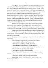 Eksporto politika, jos įgyvendinimo kryptys ir priemonės individualioje įmonėje „Dalduva“ 15 puslapis