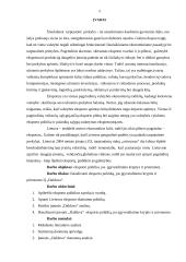 Eksporto politika, jos įgyvendinimo kryptys ir priemonės individualioje įmonėje „Dalduva“ 3 puslapis